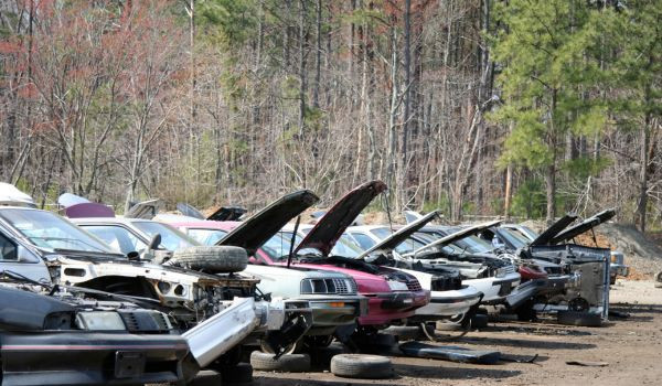 Salvage History Check